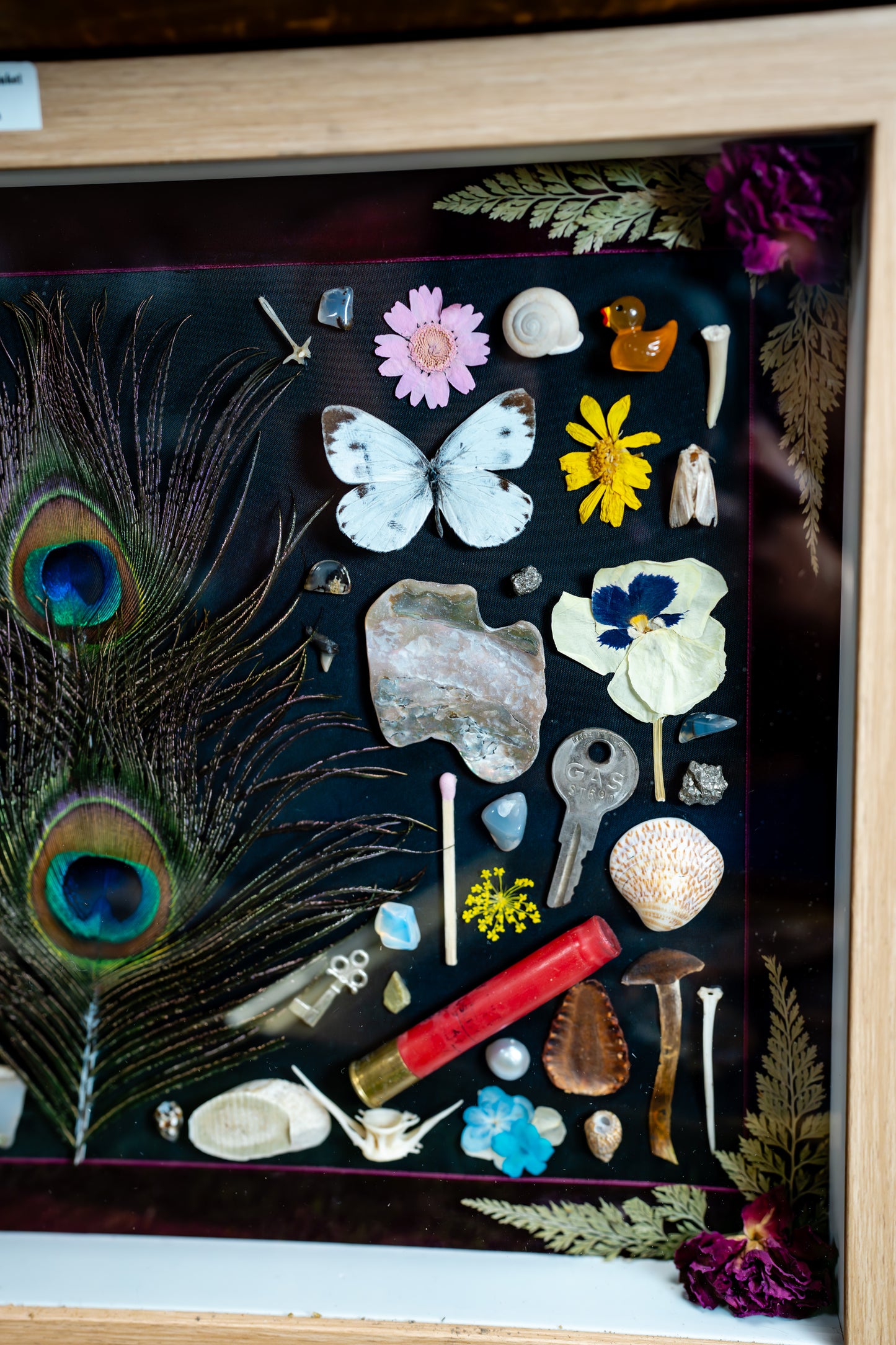 Peacock Feather Flat Lay Trinket Frame