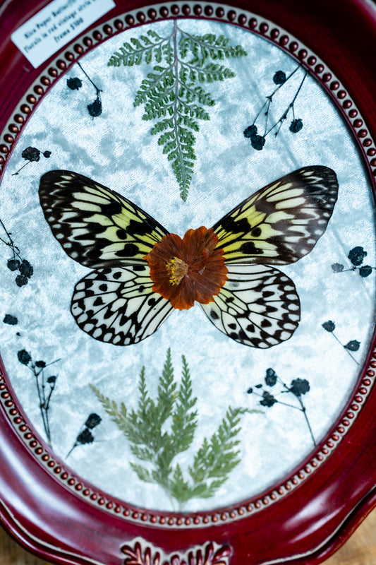 Rice Paper Butterfly with Florals in Red Vintage Style Oval Frame