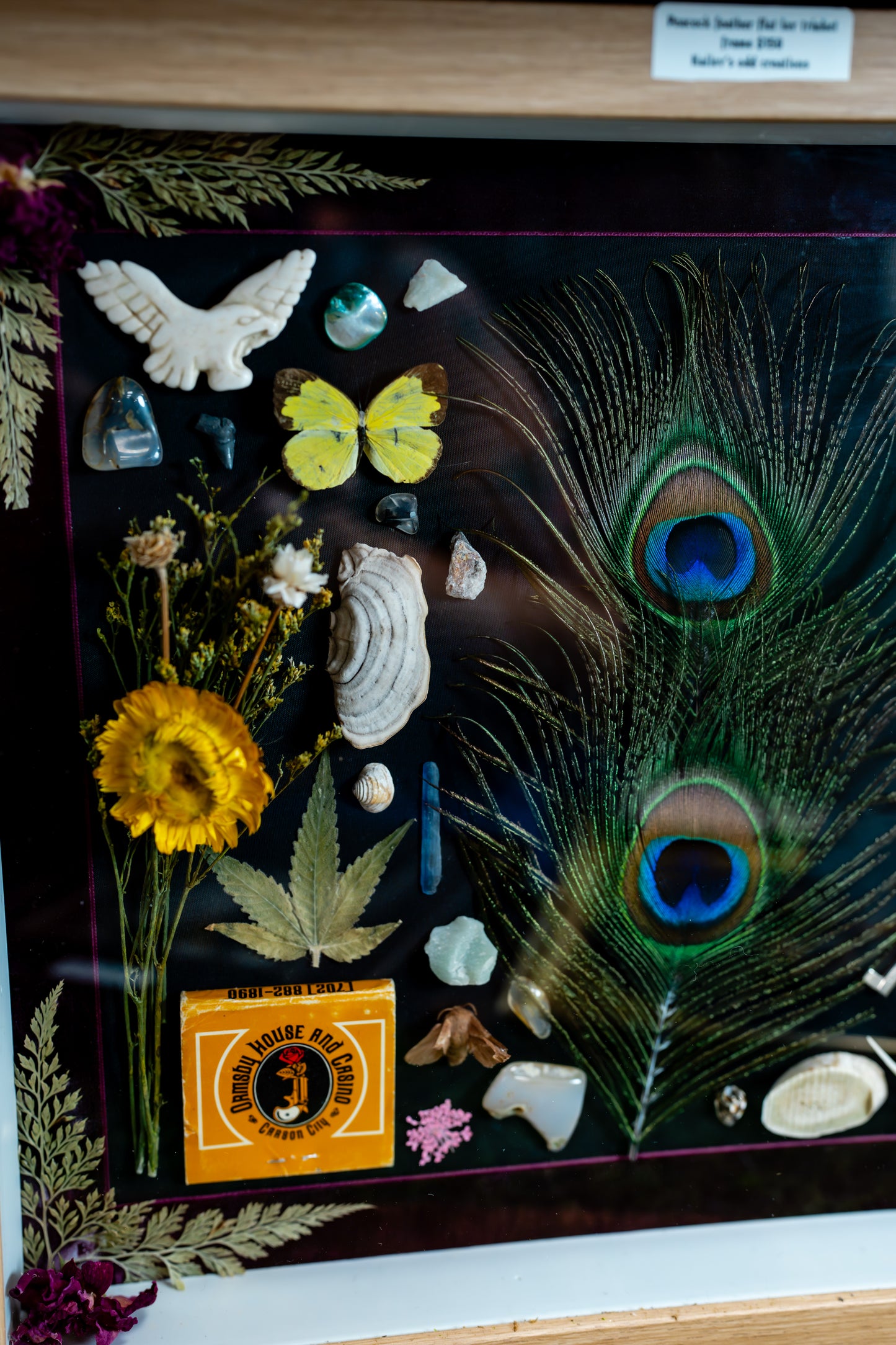 Peacock Feather Flat Lay Trinket Frame