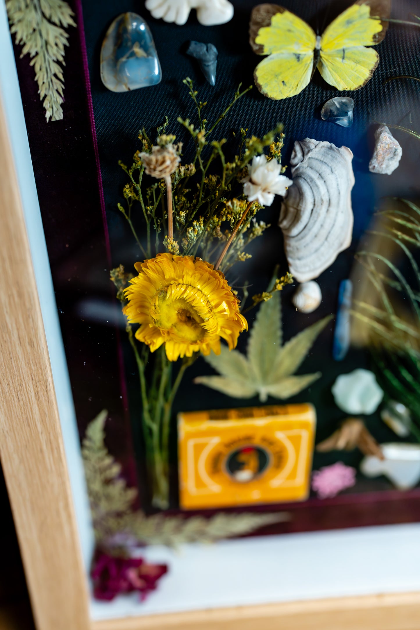 Peacock Feather Flat Lay Trinket Frame
