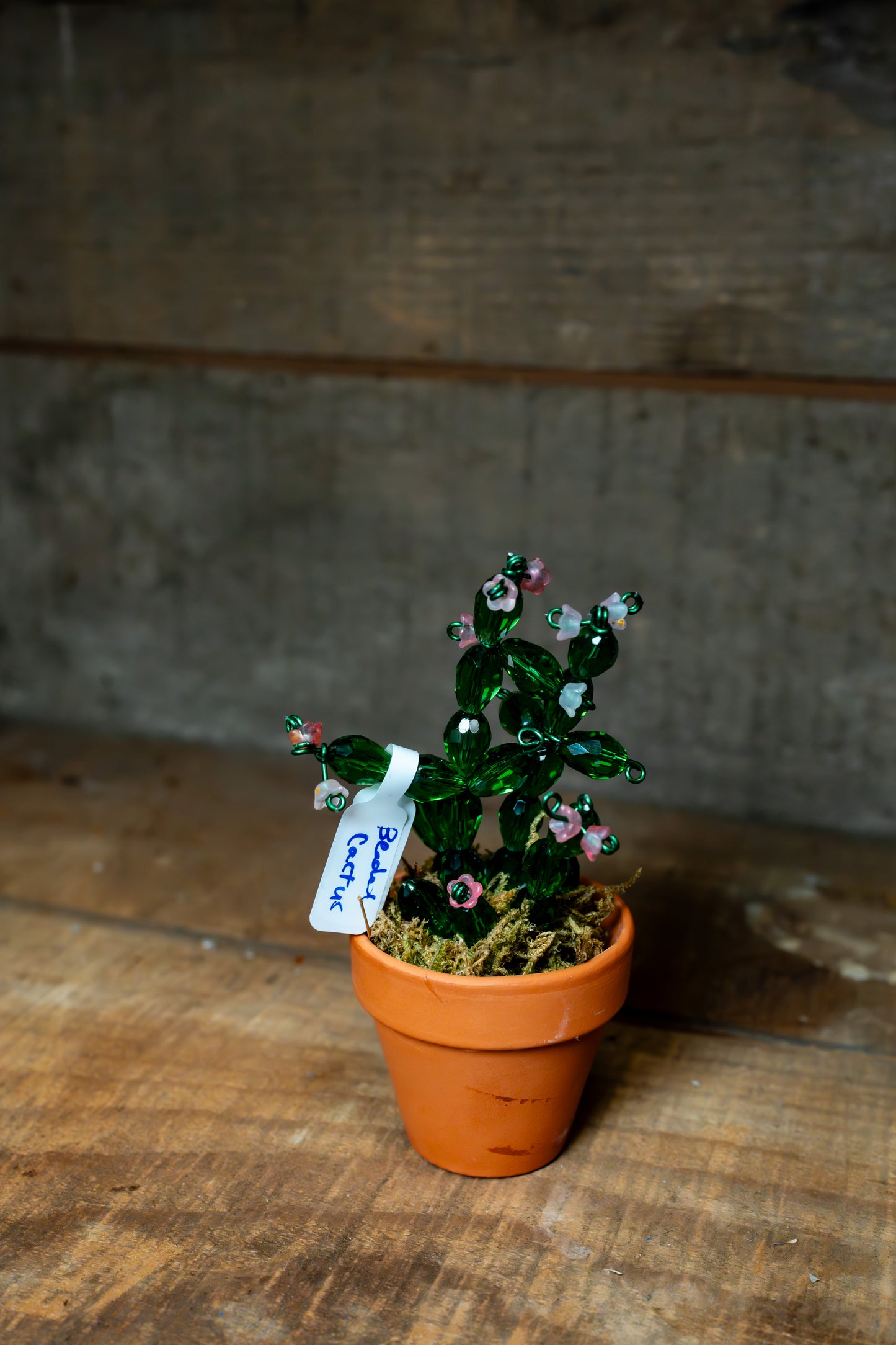 Beaded Cactus